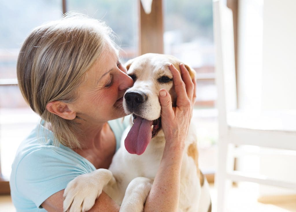 dogs assisting with group therapy activities